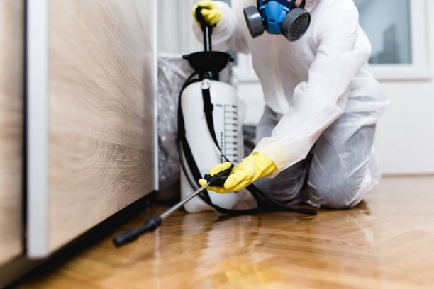 Best Bed Bug Extermination  in Strafford, MO
