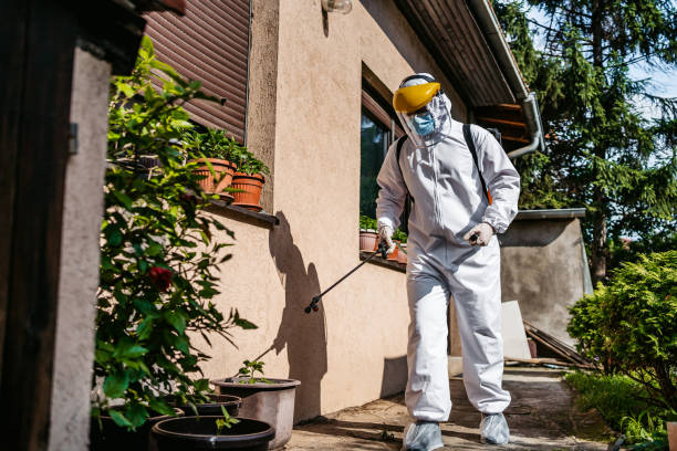 Best Emergency Pest Control  in Strafford, MO