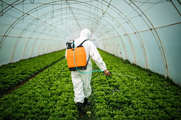 Best Local Pest Control Services  in Strafford, MO