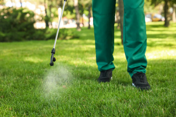 Professional Pest Control in Strafford, MO