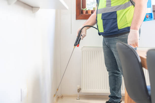 Best Rat Extermination Near Me  in Strafford, MO