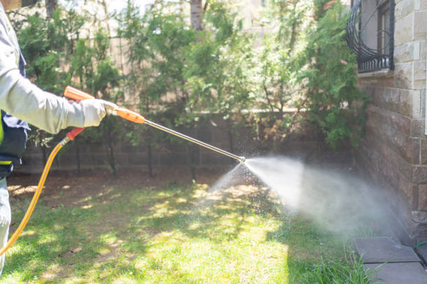 Best Pest Control Treatment  in Strafford, MO