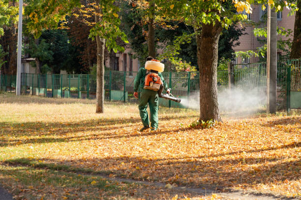 Best Pest Prevention Services  in Strafford, MO
