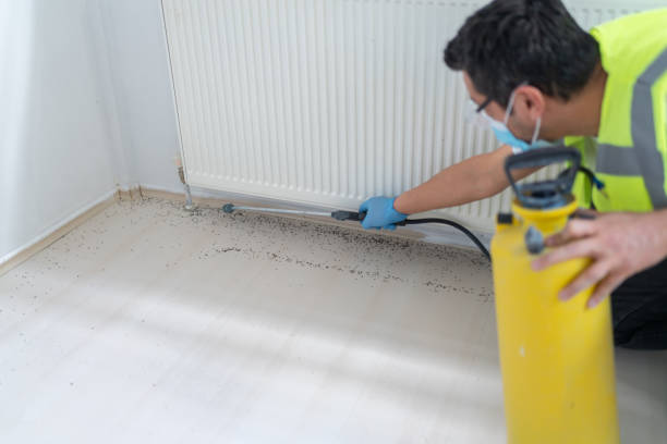 Best Residential Pest Control  in Strafford, MO