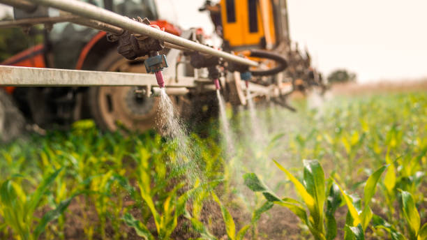 Best Wildlife Control Services  in Strafford, MO