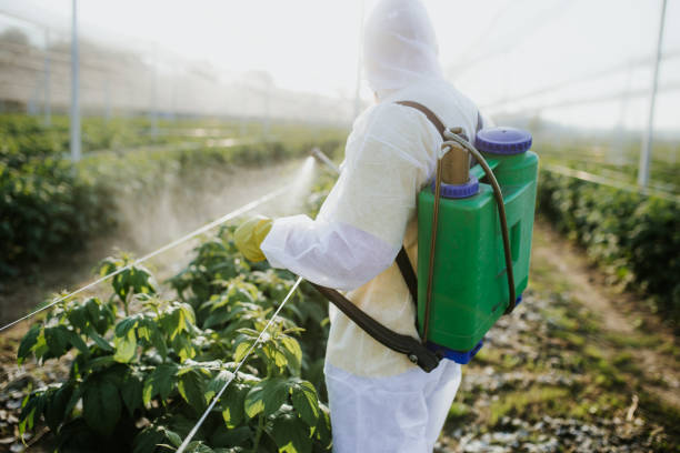 Best Best Pest Control Companies  in Strafford, MO